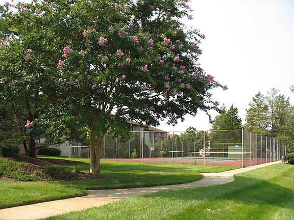 Tennis courts