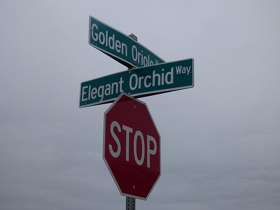 4th image of 5680 Elegant Orchid Way