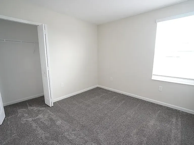 2908 Atlas Cedar Dr — Photo 19
