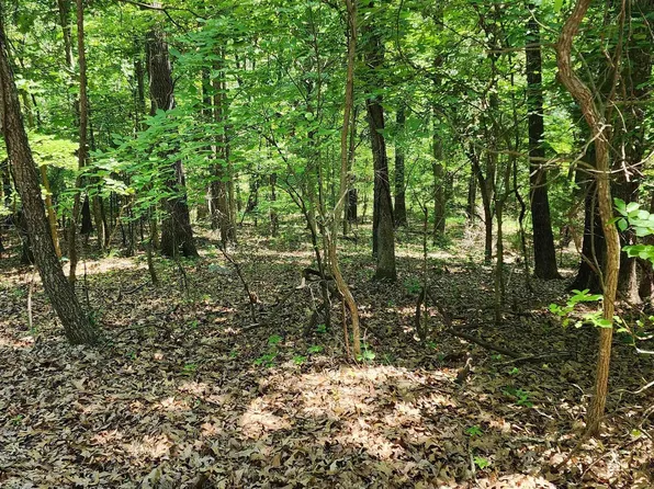 Lots 71 74 Glen Cove Cir, Lakeview, AR 72642