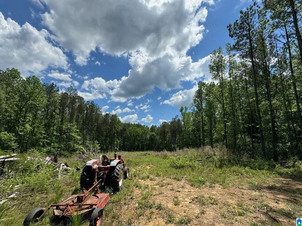 5024 Hollis Goodwin Rd #0, Dora, AL 35062