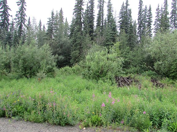 4th image of Lot 1 Block 7 Mellow Woods Subdivision