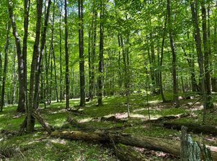 9459 Lee Lake Rd, Pound, WI 54161