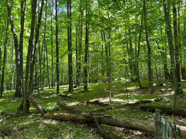 9459 Lee Lake Rd, Pound, WI 54161