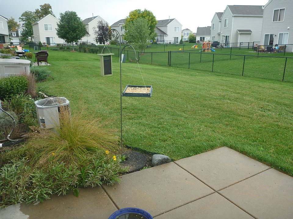 Back Patio / yard