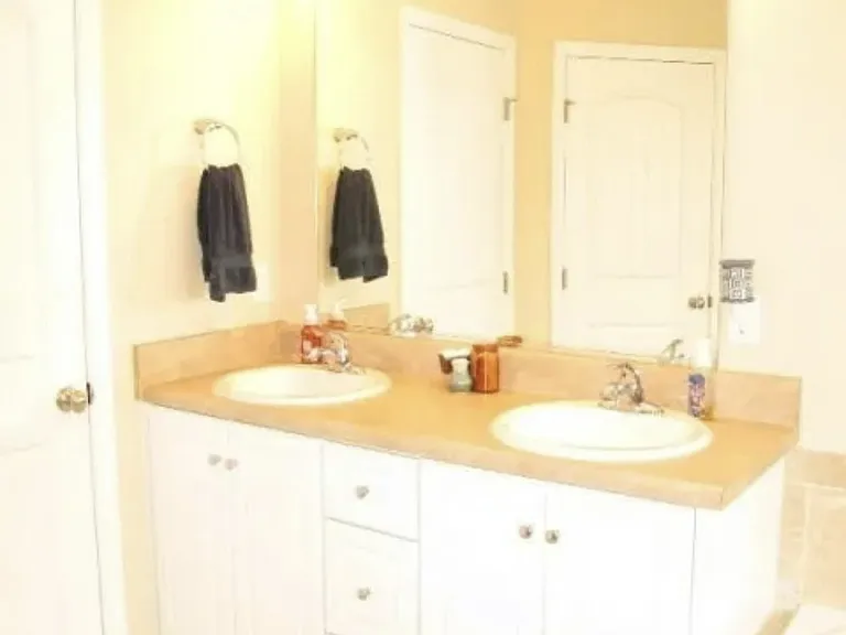 Primary Vanity