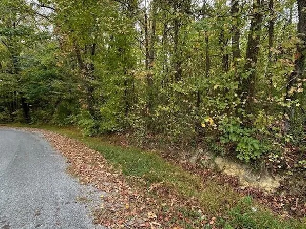 288 Logtown Rd, Dayton, TN 37321