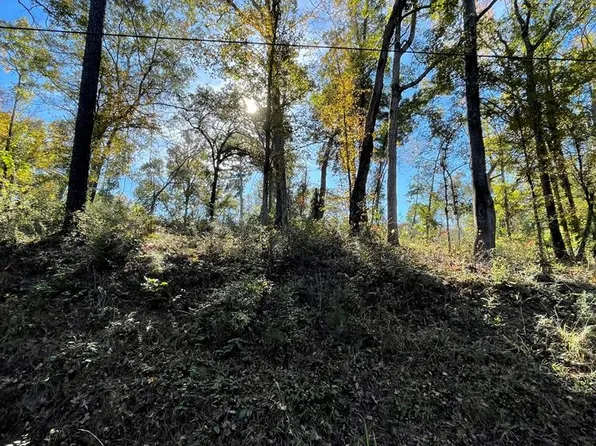 82 River Oaks Dr, Hemphill, TX 75948