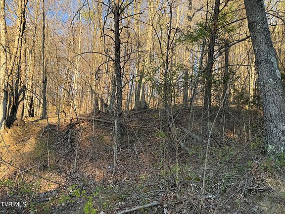 3rd image of Possum Hollow Rd