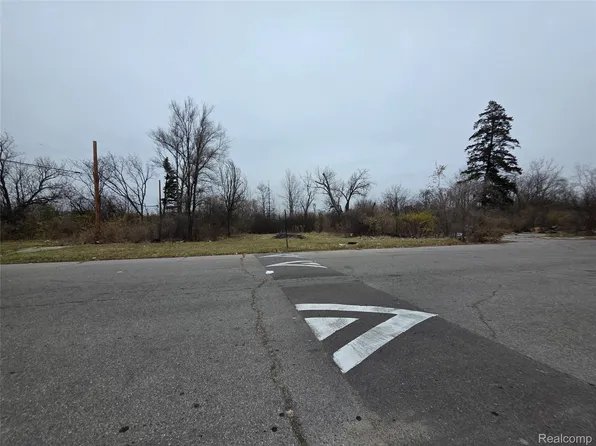 19628 Danbury St, Highland Park, MI 48203