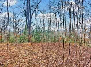 361 Little Bit Trl, Whittier, NC 28789