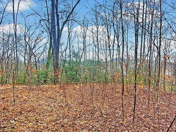 361 Little Bit Trl, Whittier, NC 28789