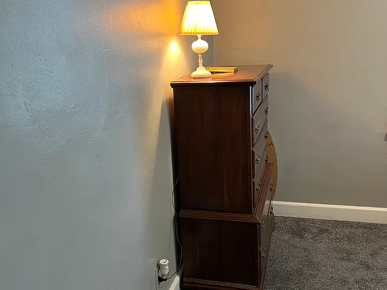 207 N Armistead Ave — Photo 57
