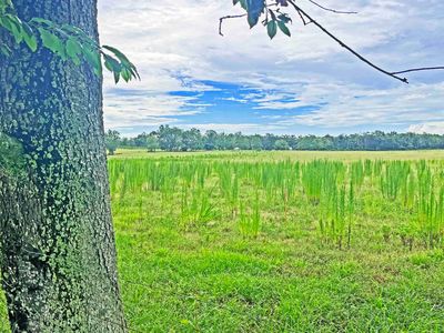 Saint Augustine Rd PARCEL 2, Monticello, FL, 32344