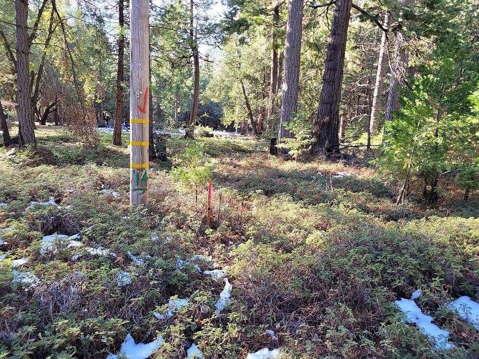 1st image of 18650 Gold Creek Trl