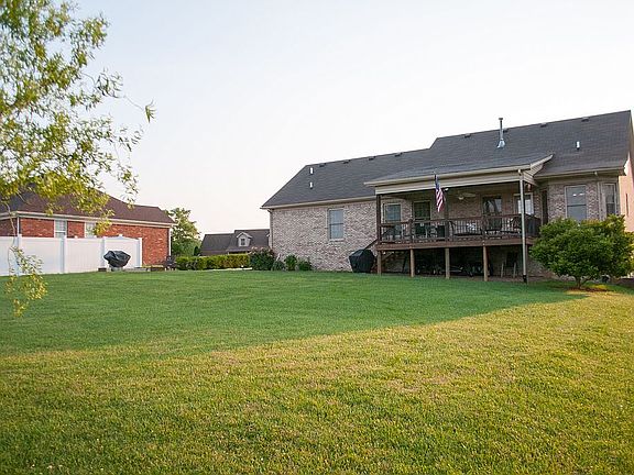 Lush Green Flat Backyard