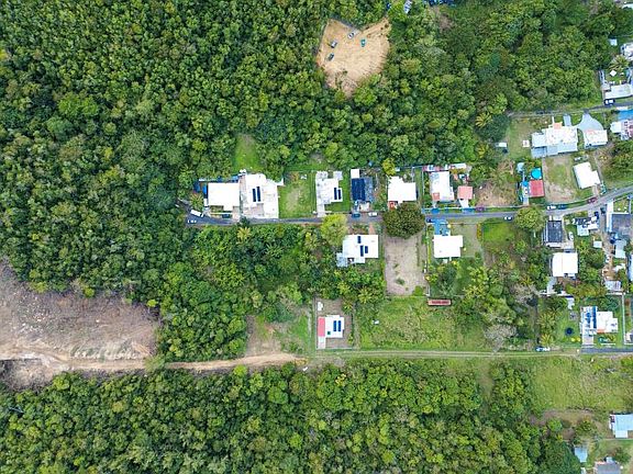 2nd image of Bo Factor #2