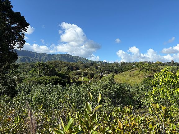 3rd image of 6631A Kipapa Rd #A