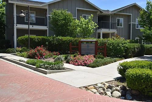 1818 Moore Blvd #217 Photo 1