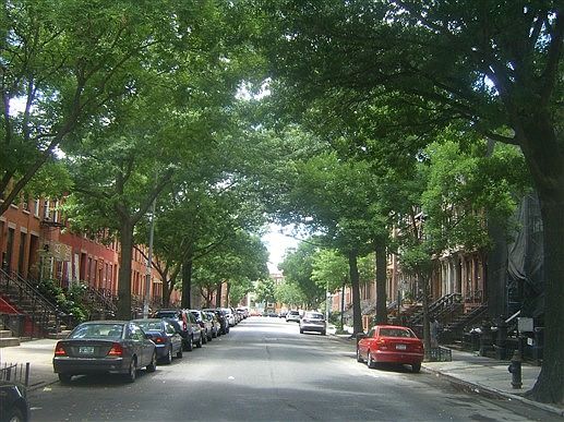 1st image of 172 Vernon Ave