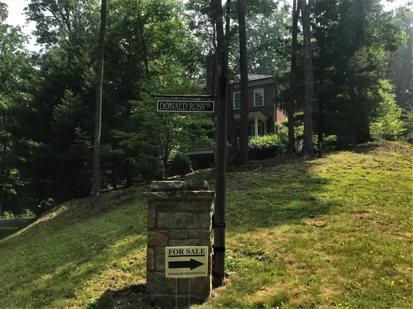Donald Ross Trl Lot 50, Hot Springs, VA 24445