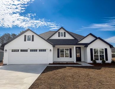 224 Barry Field Cir, Hahira, GA, 31632
