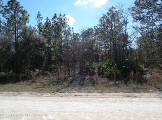 15266 Scaup Duck Ave, Weeki Wachee, FL 34614