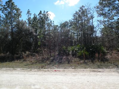 15266 Scaup Duck Ave, Weeki Wachee, FL, 34614