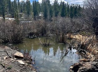 43 Chetco Ct, Red Feather Lakes, CO 80545