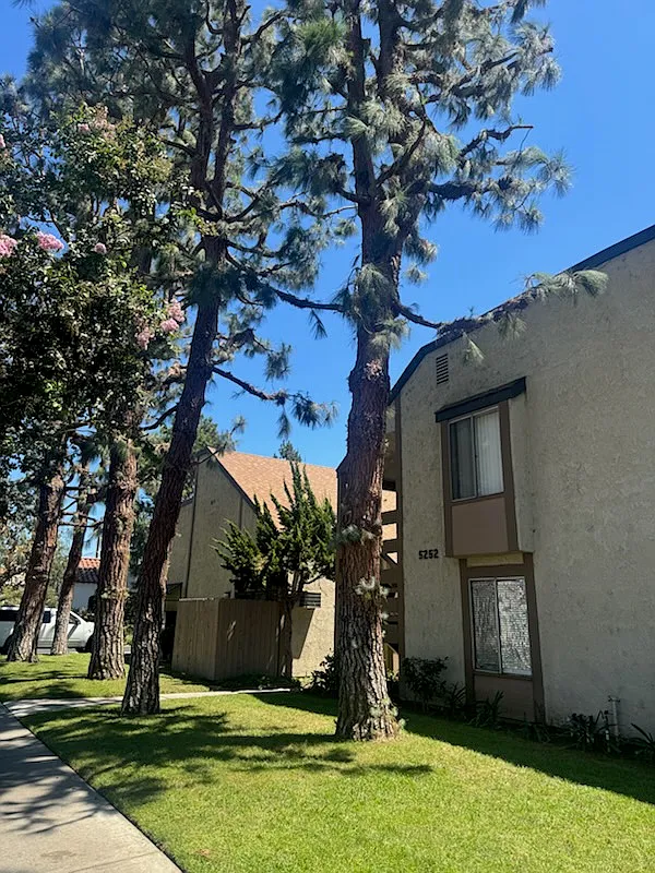 1 bed, 750 sqft, $2,350 — Photo 2