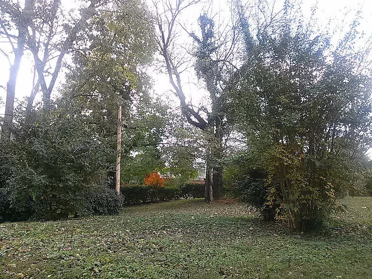 2907 W Linden Ave #B — Photo 12