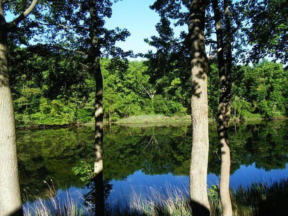 315 ft of Waterfrfont