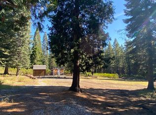 4 Summit View Dr #C, McCloud, CA 96057
