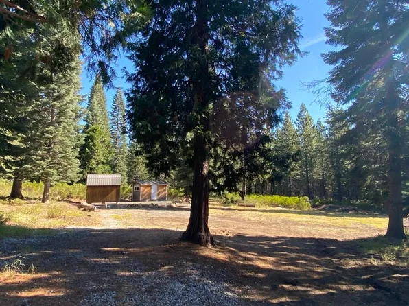 4 Summit View Dr #C, McCloud, CA 96057