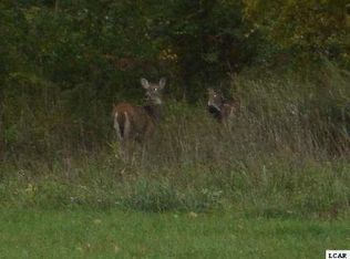 1001 Saw Mill Ct, Adrian, MI 49221