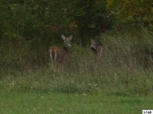 1001 Saw Mill Ct, Adrian, MI 49221