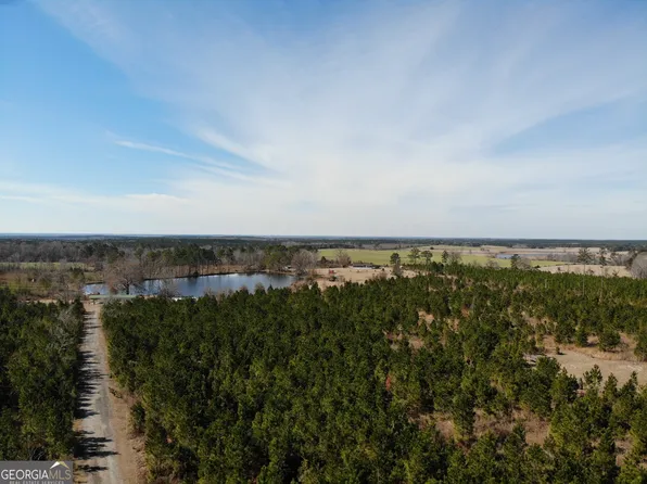 275 Marchants Dairy Rd, Rhine, GA 31077