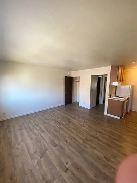 Ellis Park Apartments — Photo 4