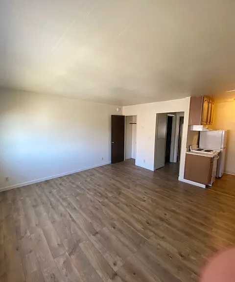 Ellis Park Apartments — Photo 4