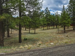 2799 CHEROKEE Way #381, Happy Jack, AZ 86024