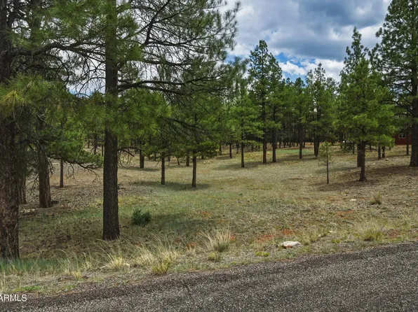 2799 CHEROKEE Way #381, Happy Jack, AZ 86024