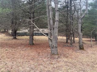 9754 Welty Rd, Lindley, NY 14858