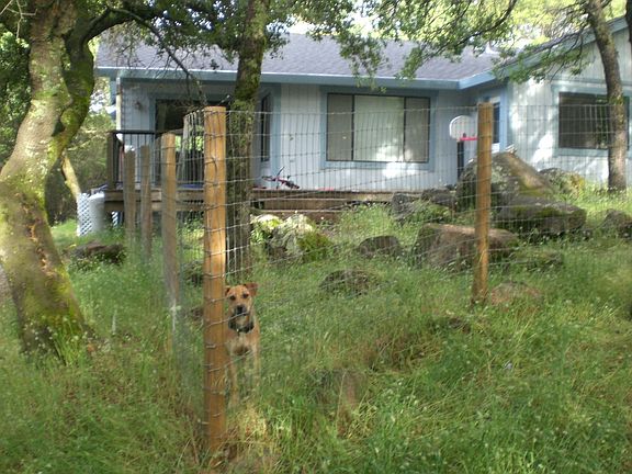 Rear fenced yard