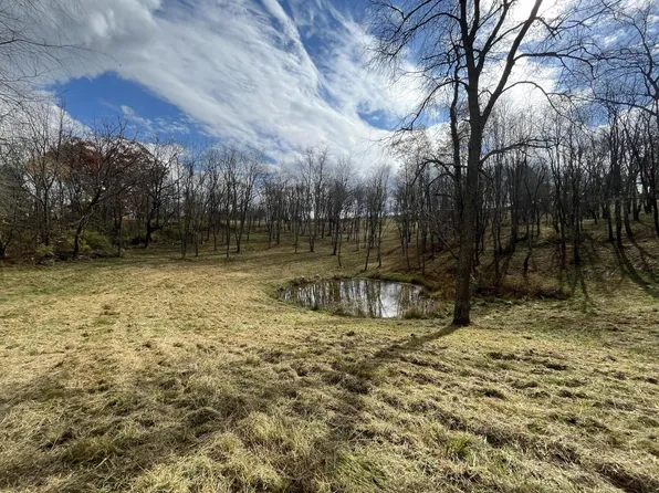 16736 Seneca Trl N, Maxwelton, WV 24957