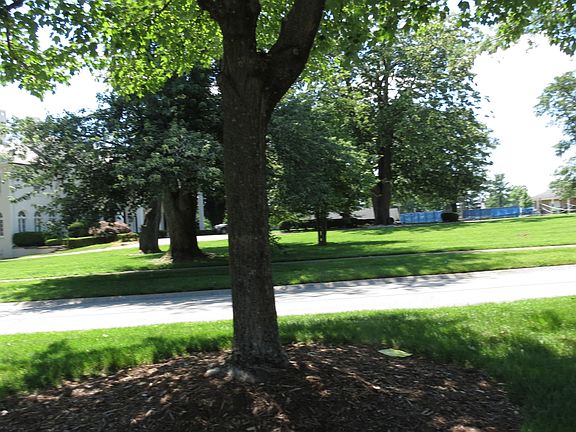 4th image of 802 Dana Marie Dr