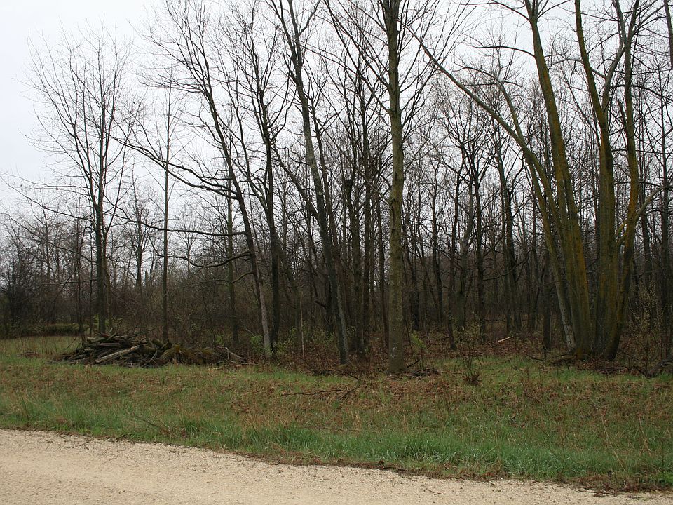 2nd image of Tamarack Trail Knollwood Vlg Lot 5