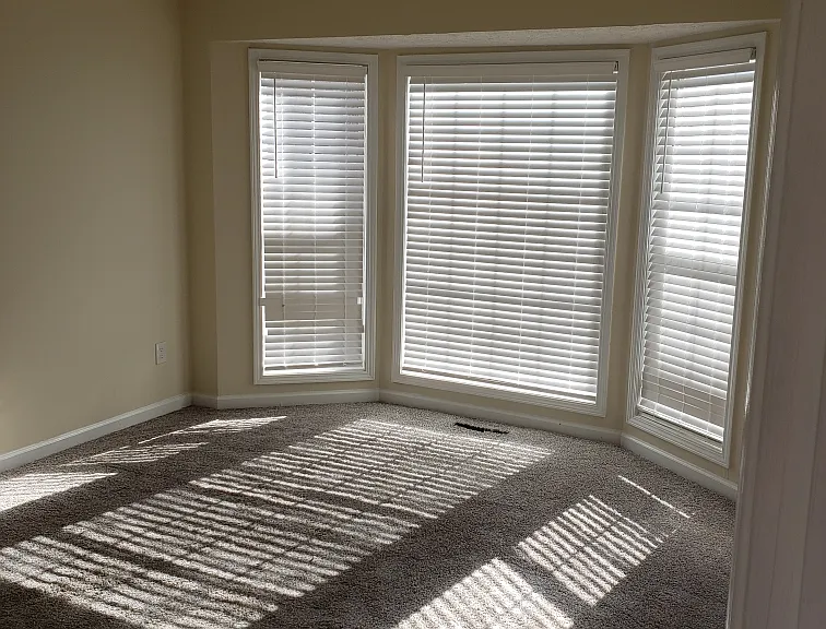 3708 Willow Tree Cir — Photo 14