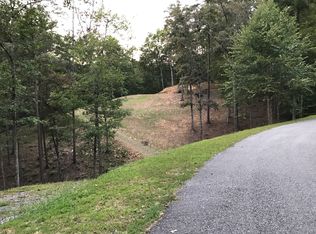 The Woods Rd, Mineral Bluff, GA 30559