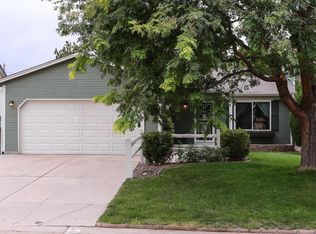 8447 Wild Alfalfa Pl, Parker, CO 80134