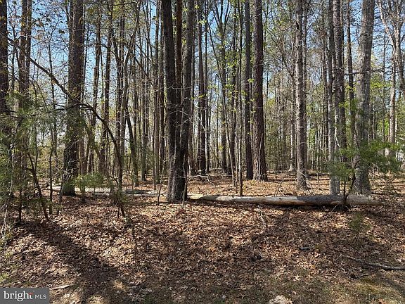 2nd image of Windwood Coves Blvd